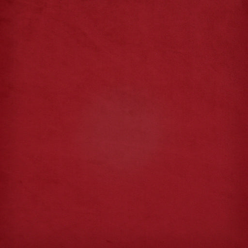 Firenze-# 529 claret