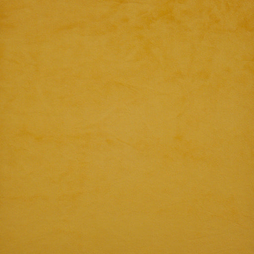 Firenze-# 535 honey bee