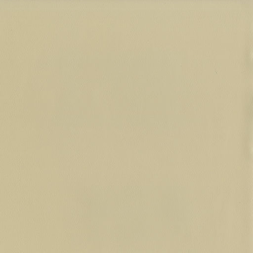 Jackson-# 626 sand