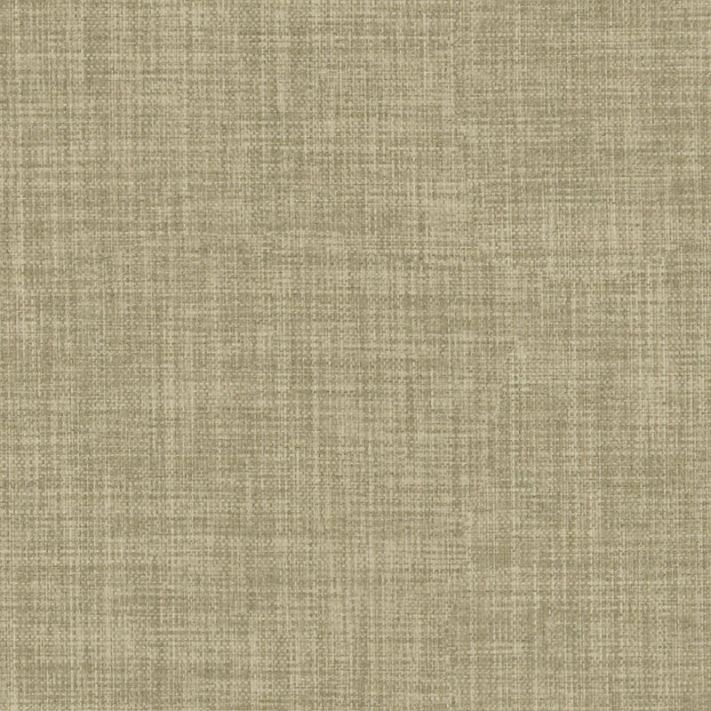 Galileo-# 245 linden