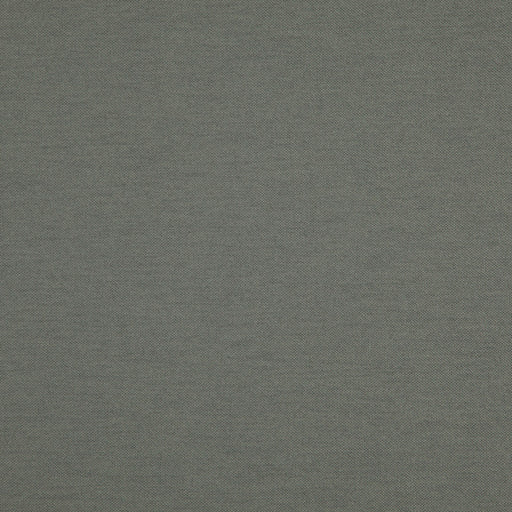 Hatha-# 29 pigeon