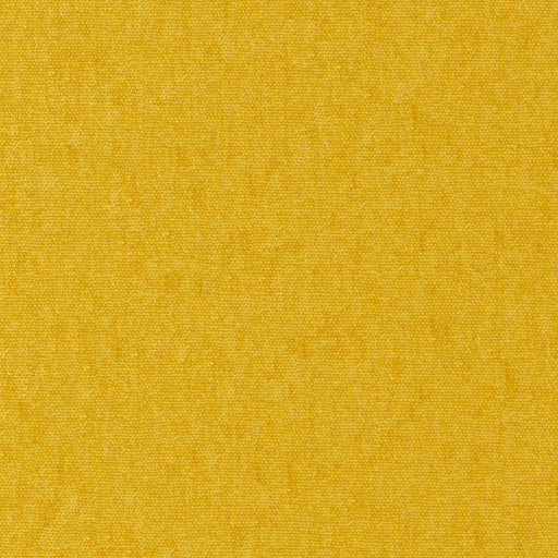 Conte-# 901 sun