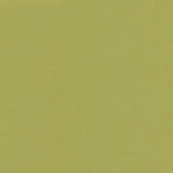 Catalyst-nj - # 525 citrus- Maxwell Fabric By The Yard