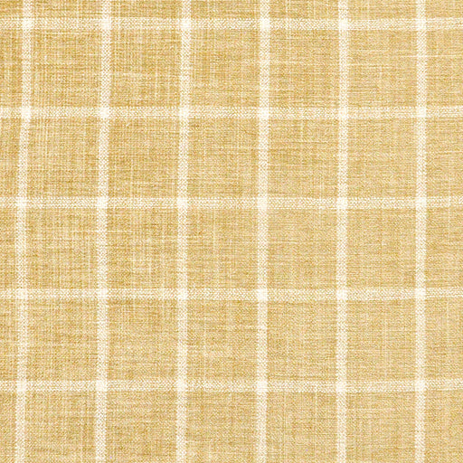 Windowpane-# 613 midas