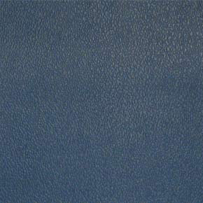 Esprit-# 055 regimental blue