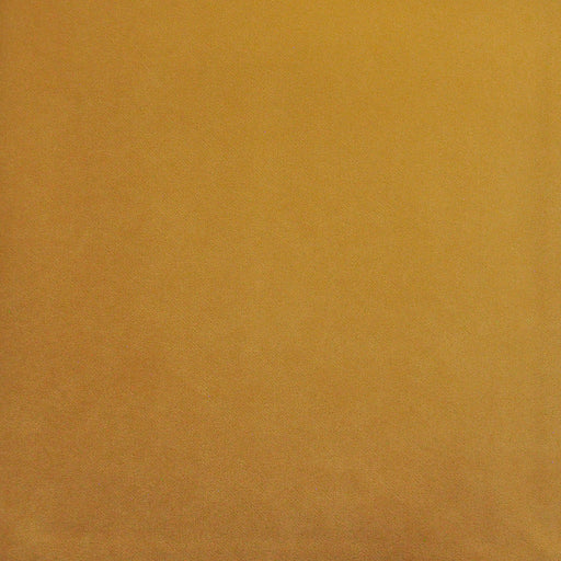 Palermo-# 423 butter