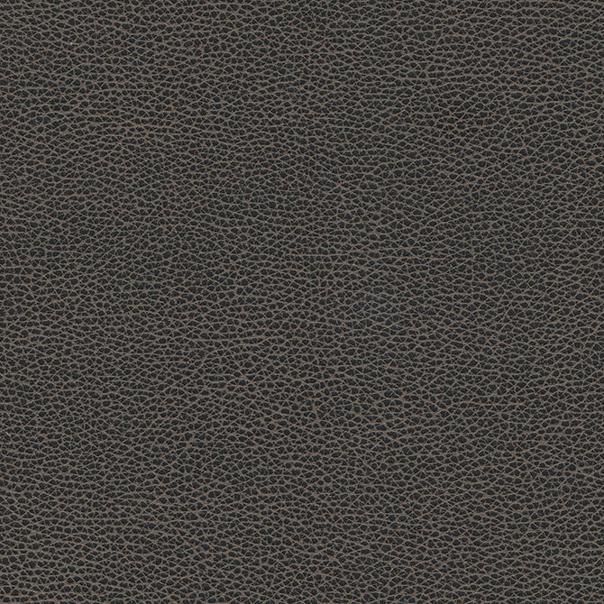 Levant-nj-# 1176 graphite