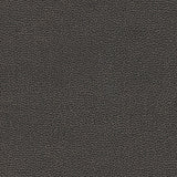 Levant-nj - # 1176 graphite- Maxwell Fabric By The Yard
