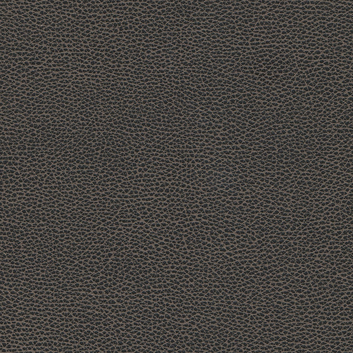Levant-nj-# 1176 graphite