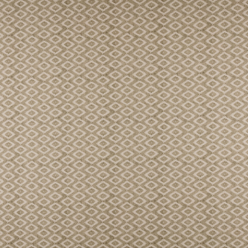 Kodi-# 541 pebble