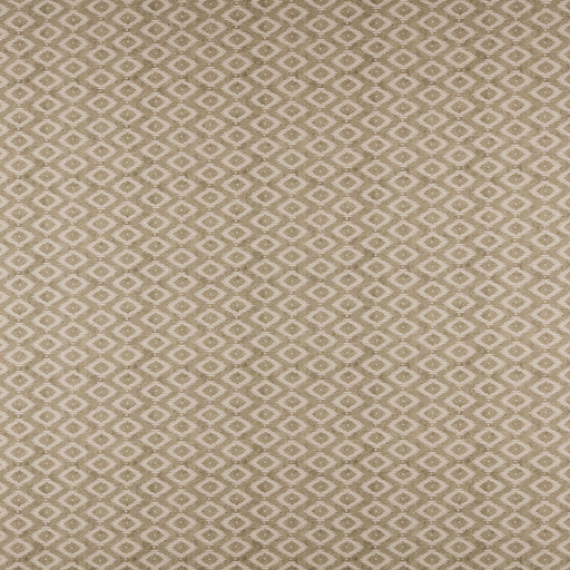 Kodi-# 541 pebble