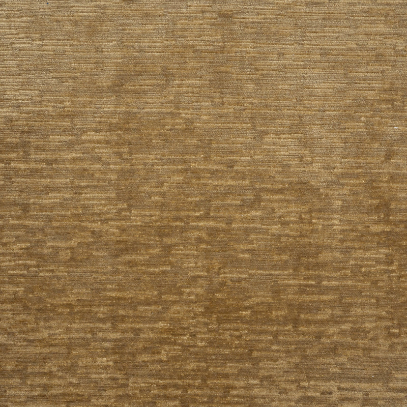 Ellis-# 717 acorn