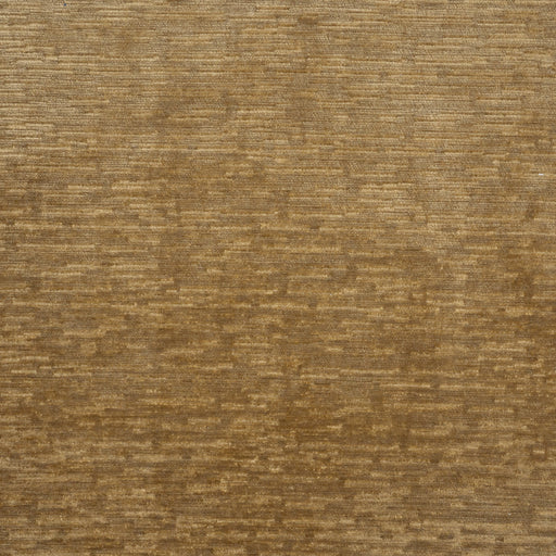 Ellis-# 717 acorn