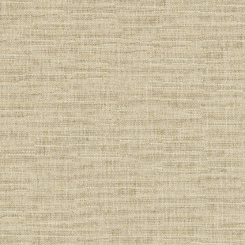 Tambo-# 505 seagrass