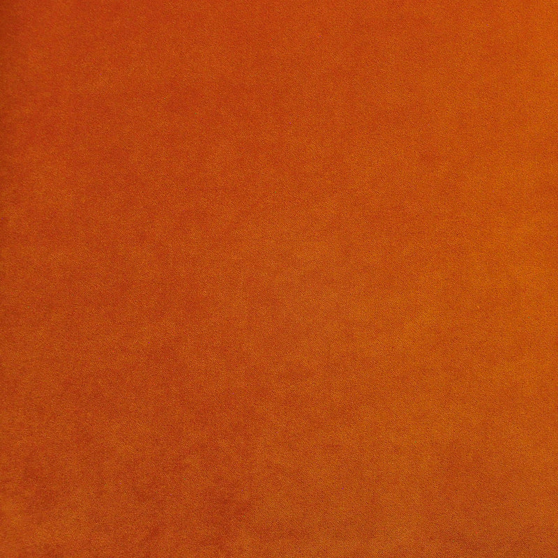 Palermo-# 424 yam