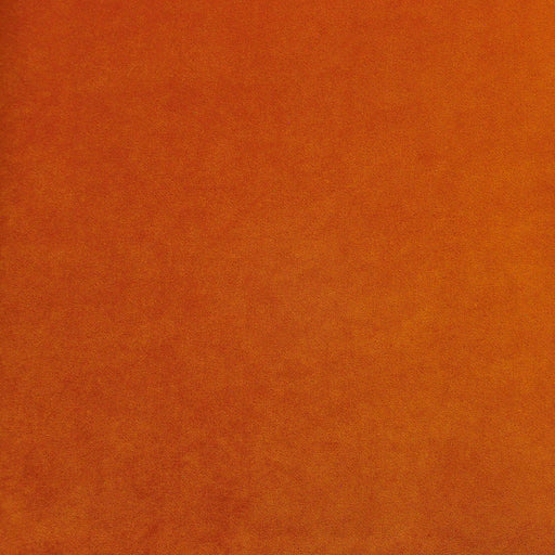 Palermo-# 424 yam