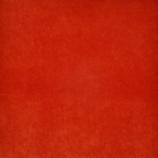 Clark-# 727 coral