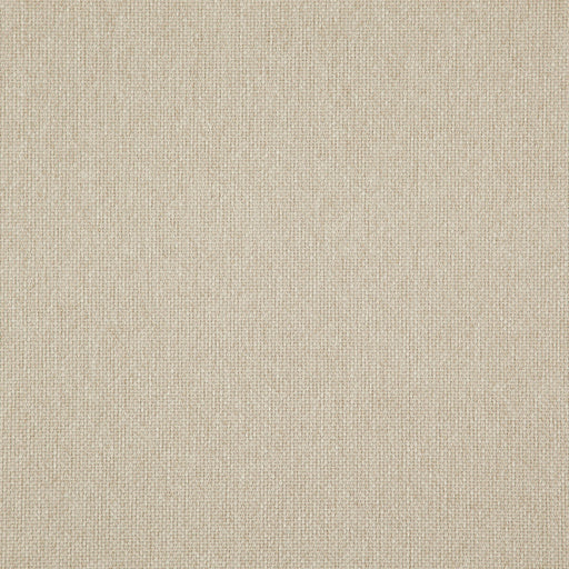 Light year-# 220 raffia