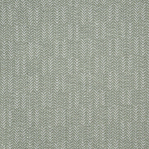 Conifer-# 917 sage