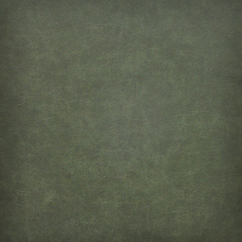 Taro-# 201 evergreen