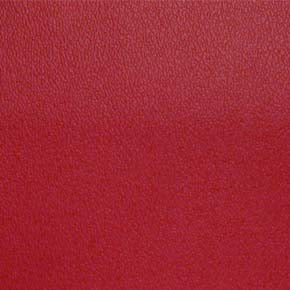 Esprit-# 014 candy apple