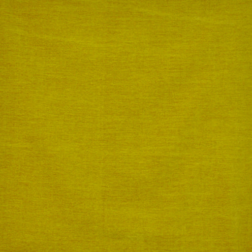 Rave-# 535 mustard