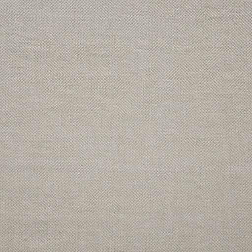 Peterman-# 558 antique