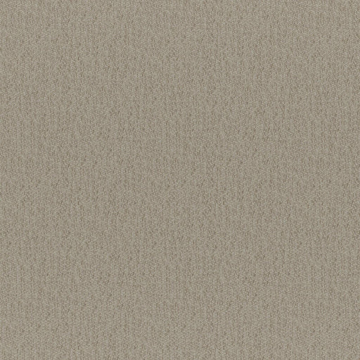 Bruno-# 215 sepia