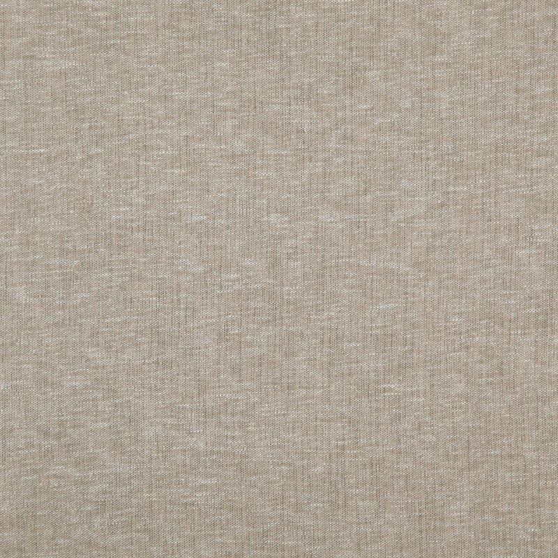 Cloud-# 09 funghi