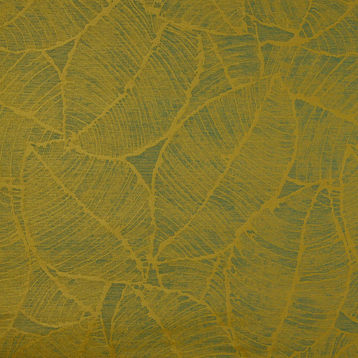 Kapok-# 842 olive