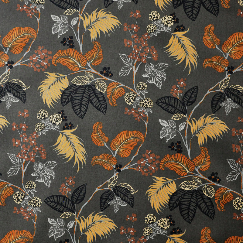 Franz-# 606 autumn