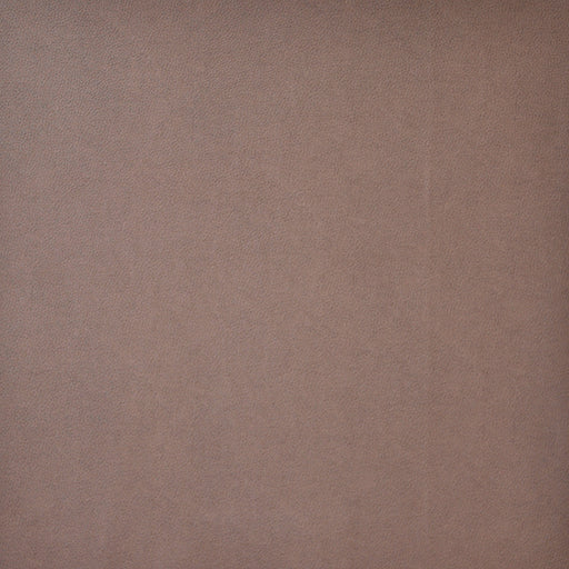 Pony express-# 2005 earth