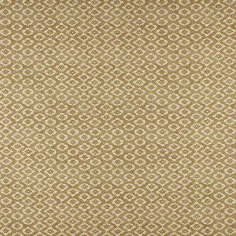 Kodi-# 539 gold