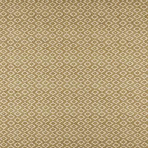 Kodi-# 539 gold