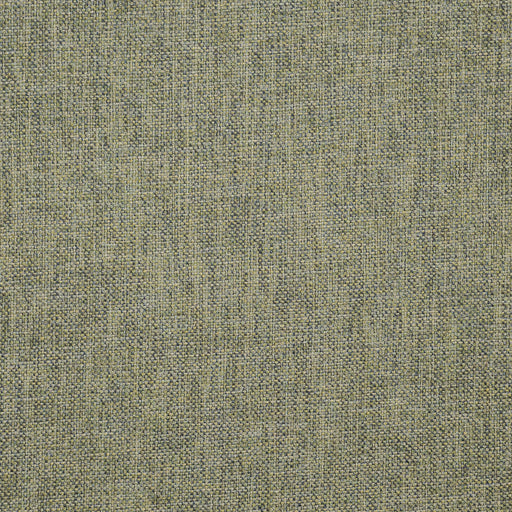 Giles-# 902 oasis