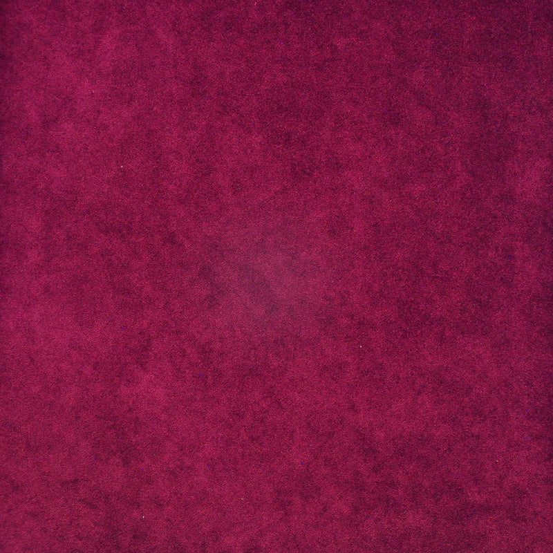 Palermo-# 432 currant