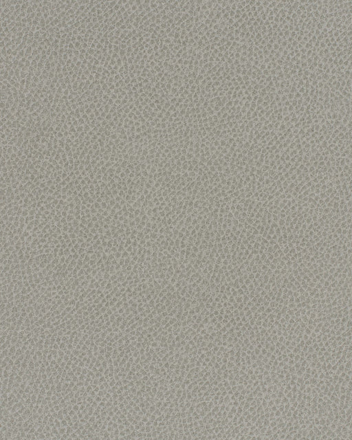 Scene-# 713 mist