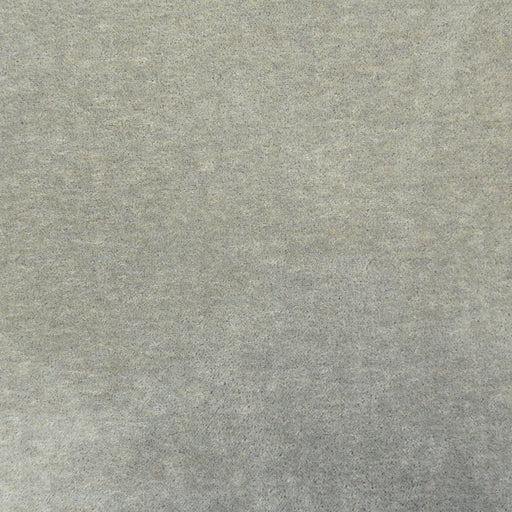 Lemaire-# 401 fog