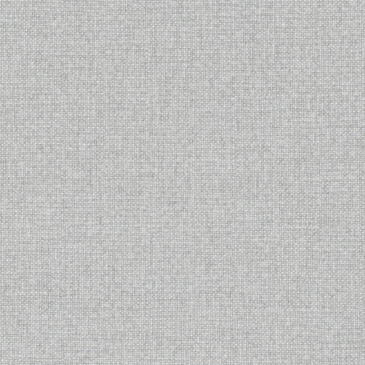 Slogan-# 982 birch