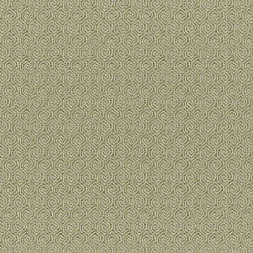 Quintero-# 838 pesto