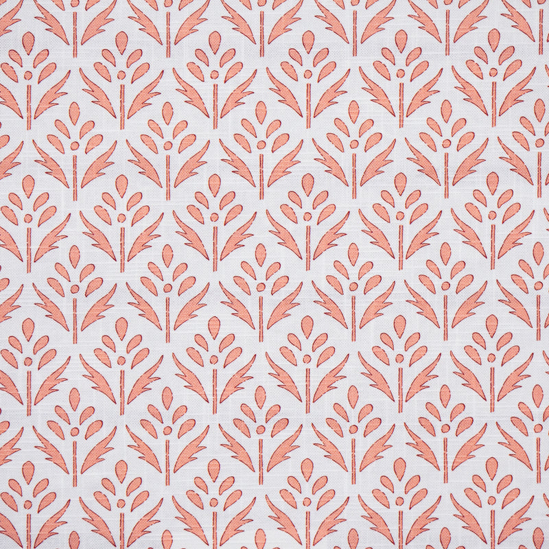 Floraison-# 736 tulip
