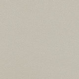 Levant-nj - # 1179 cloud- Maxwell Fabric By The Yard