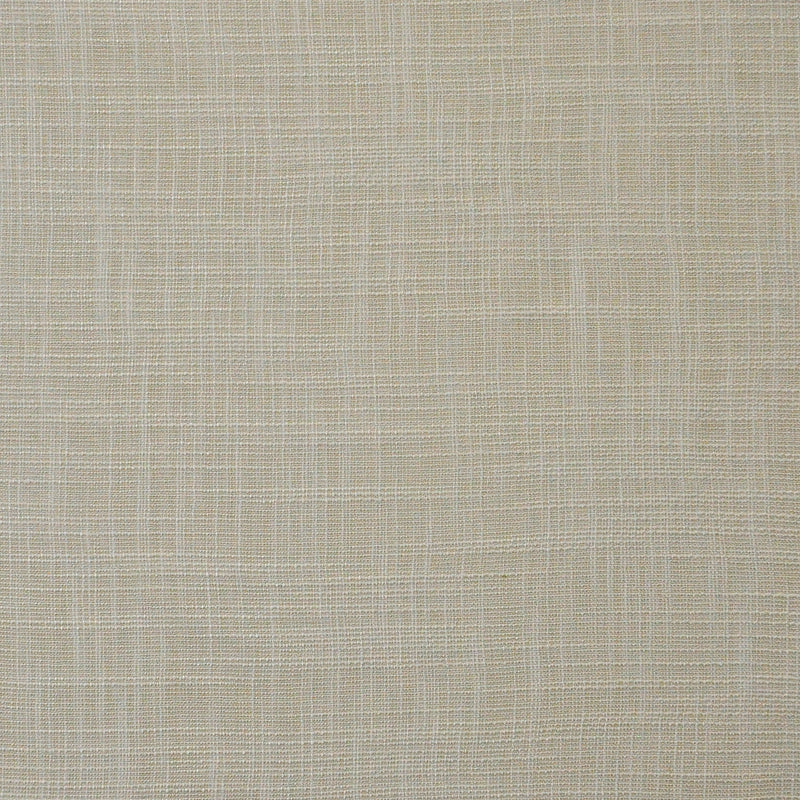 Daintree-# 552 plaster