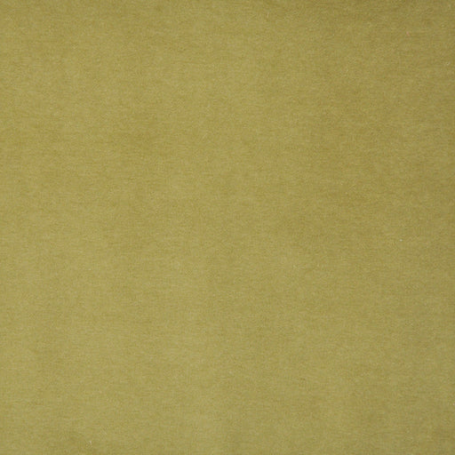 Snug-# 422 pistachio