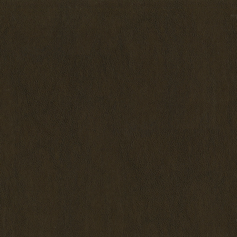 Jackson-# 606 umber
