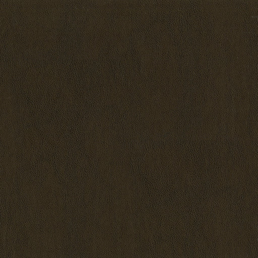 Jackson-# 606 umber
