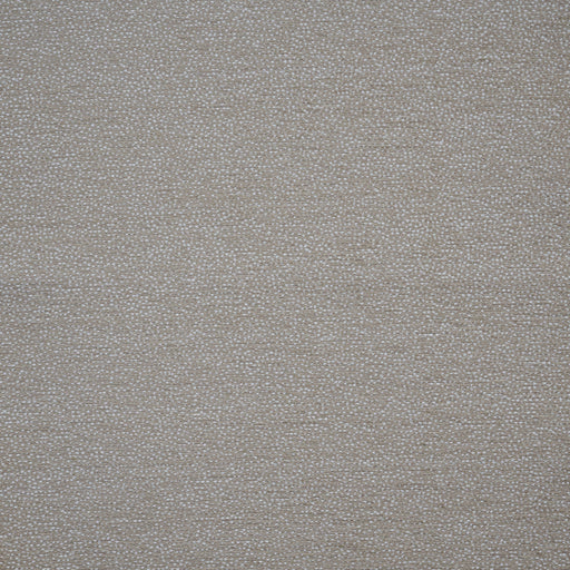 Dolcetto-# 747 buff