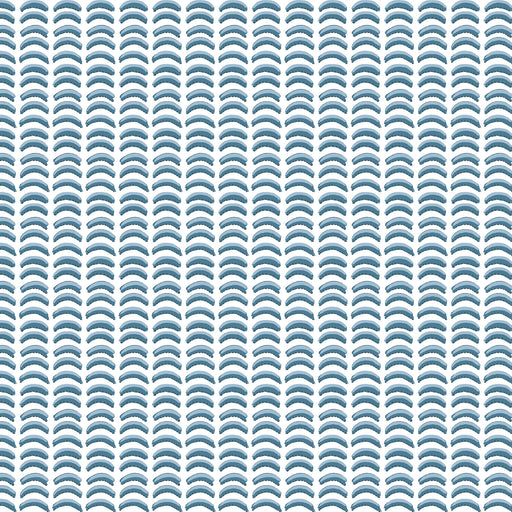 Tuttle (wp)-#701 water