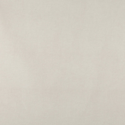 Charlotte - 10000-01 - Fabric by the Yard 10000-01