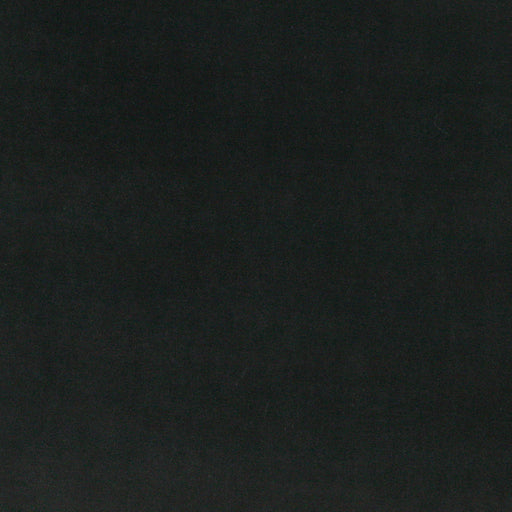 Charlotte - 10000-03 - Fabric by the Yard 10000-03